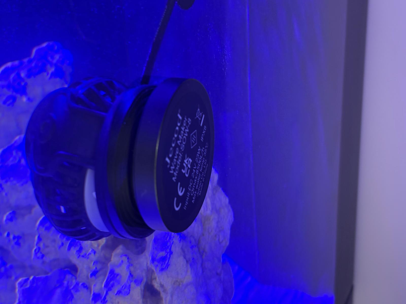 The magnetic mount holding the Jecod SOW-8 securely against the aquarium glass
